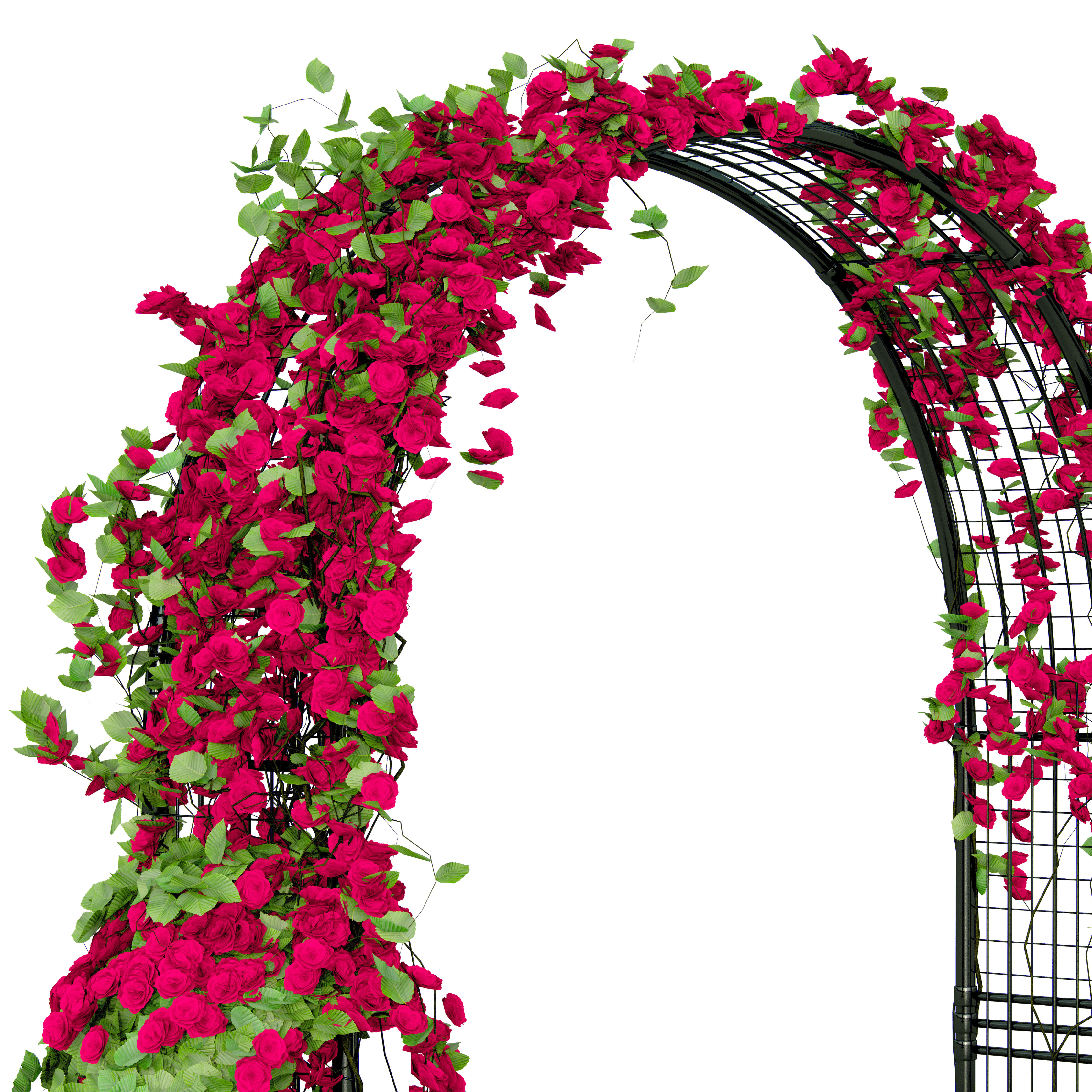 Sueño de la pérgola de Rosas (Retiro para animadores)