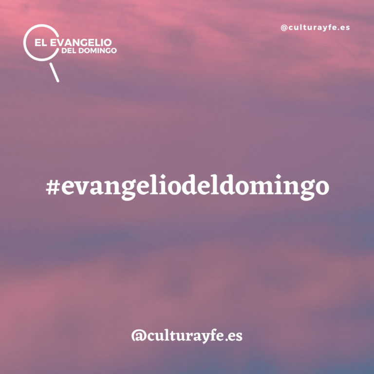 Evangelio del domingo