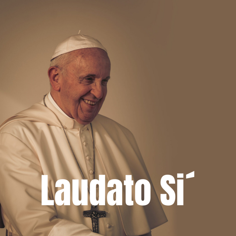 Síntesis de la Encíclica Laudato Si´: sobre el cuidado de la casa común