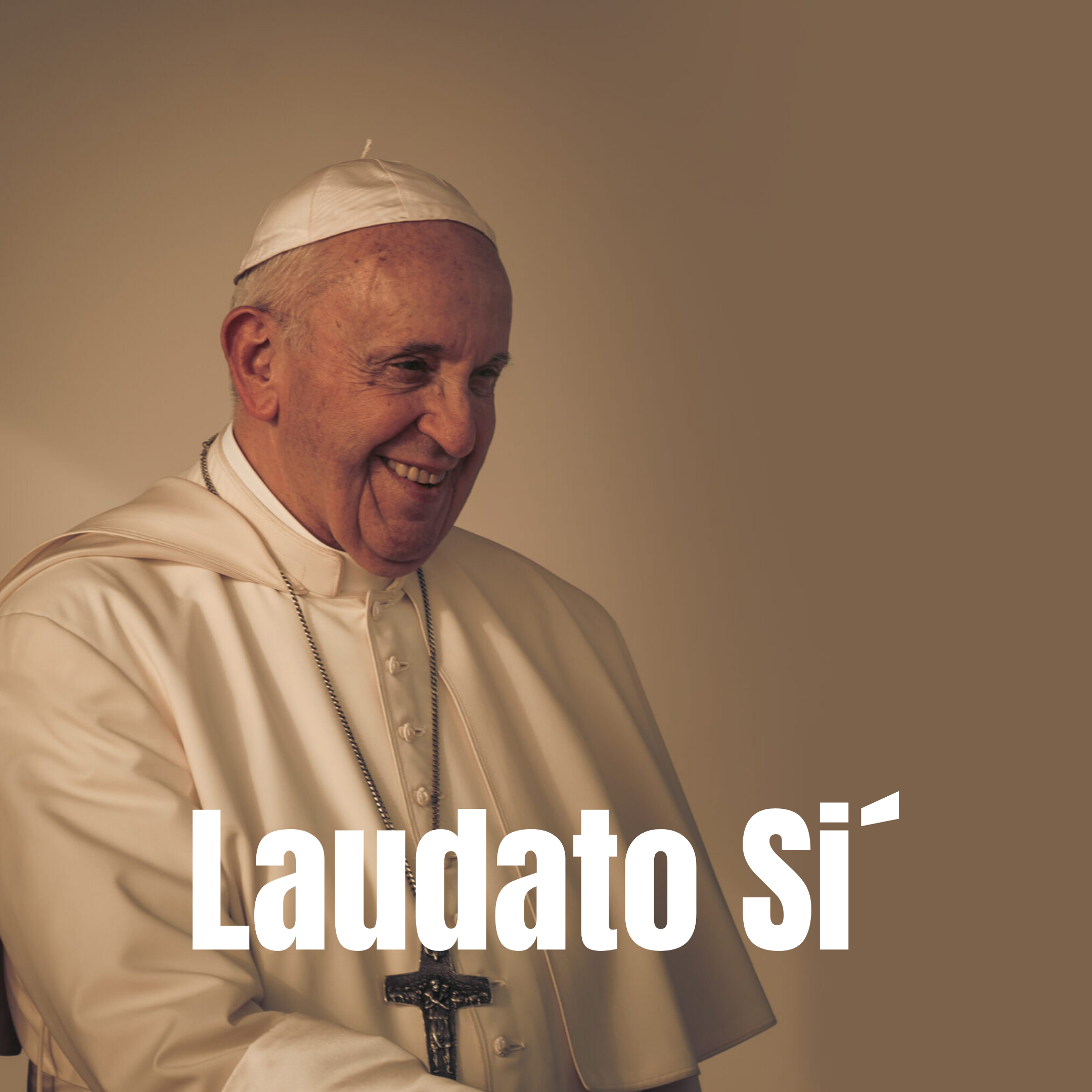 Síntesis de la Encíclica Laudato Si´: sobre el cuidado de la casa común