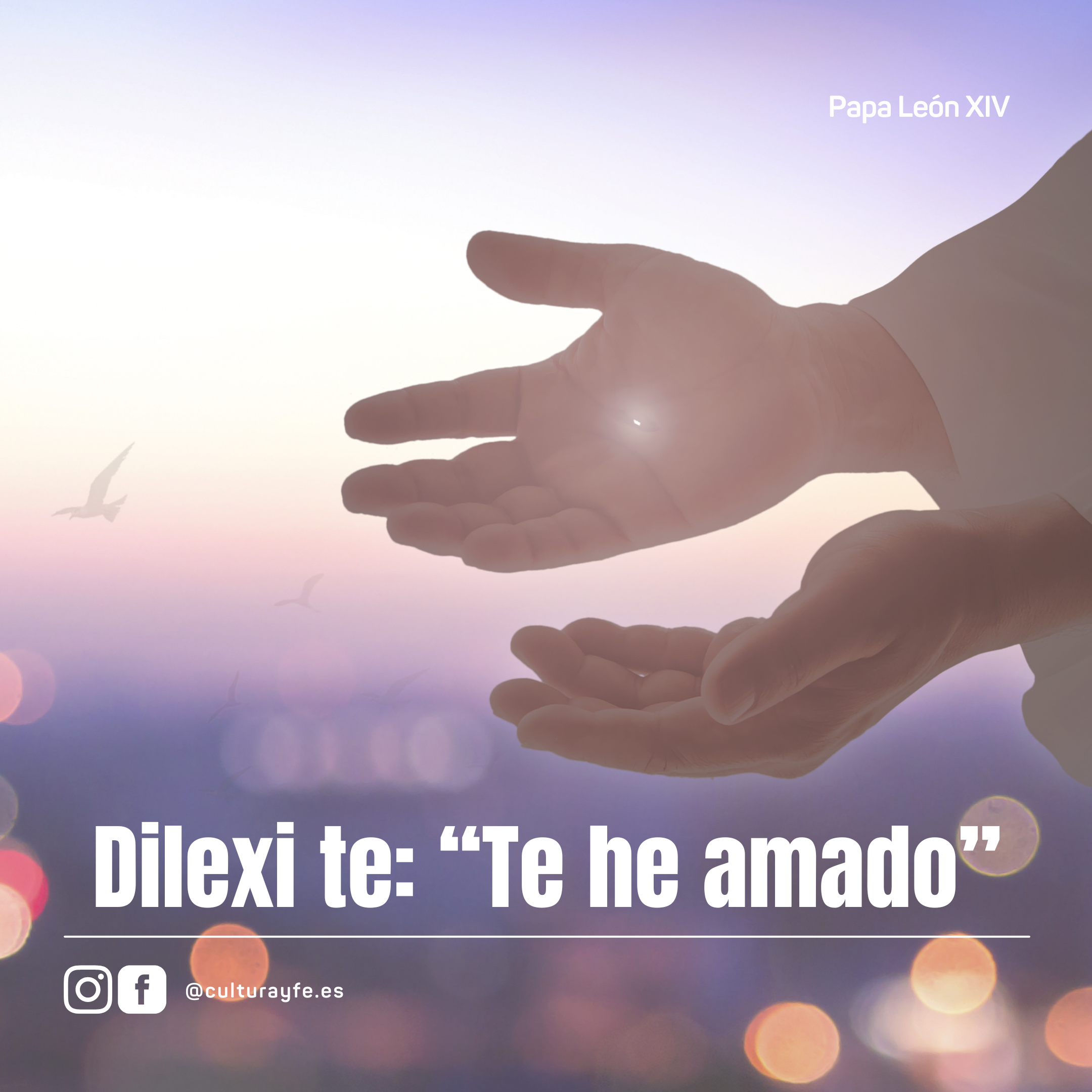 Lo esencial de la nueva Exhortación Apostólica de León XIV: «Dilexi Te»